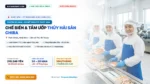 Đơn Hàng Tokutei Nhật Bản: Tuyển 03 Nam 03 Nữ Chế Biến Thủy Sản Tại Chiba (Thu Nhập 24–28 Man)
