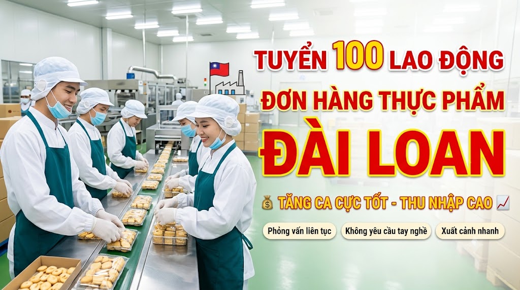 Đơn hàng thực phẩm Đài Loan tăng ca tốt tuyển 100 người (Cập nhật 2026)