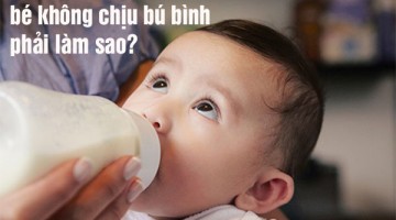 bé không chịu bú bình phải làm sao