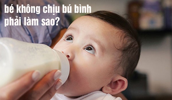 bé không chịu bú bình phải làm sao