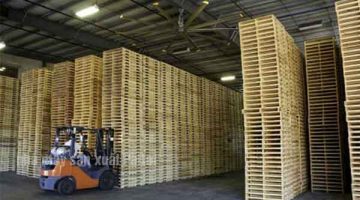 Các nhà máy sản xuất Pallet tại Ba Lan thiếu nhiều lao động
