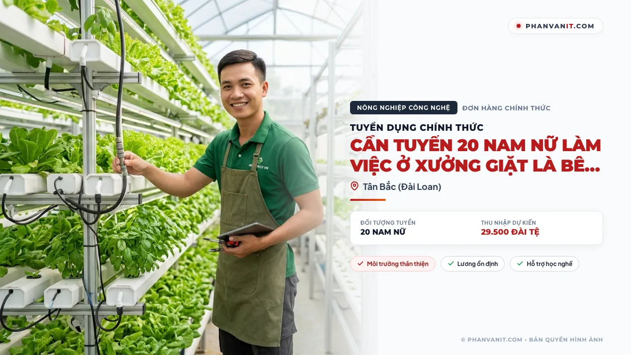 Cần tuyển 20 nam nữ làm việc ở xưởng giặt là bên Đài Loan (Cập nhật 2026)