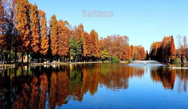 Địa điểm chụp ảnh đẹp ở Saitama