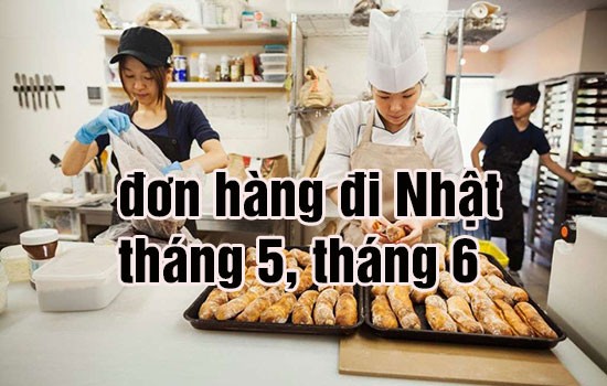 đơn hàng đi nhật tháng 5