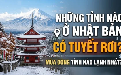 Những Tỉnh Nào Ở Nhật Bản Có Tuyết Rơi? Mùa Đông Tỉnh Nào Lạnh Nhất?