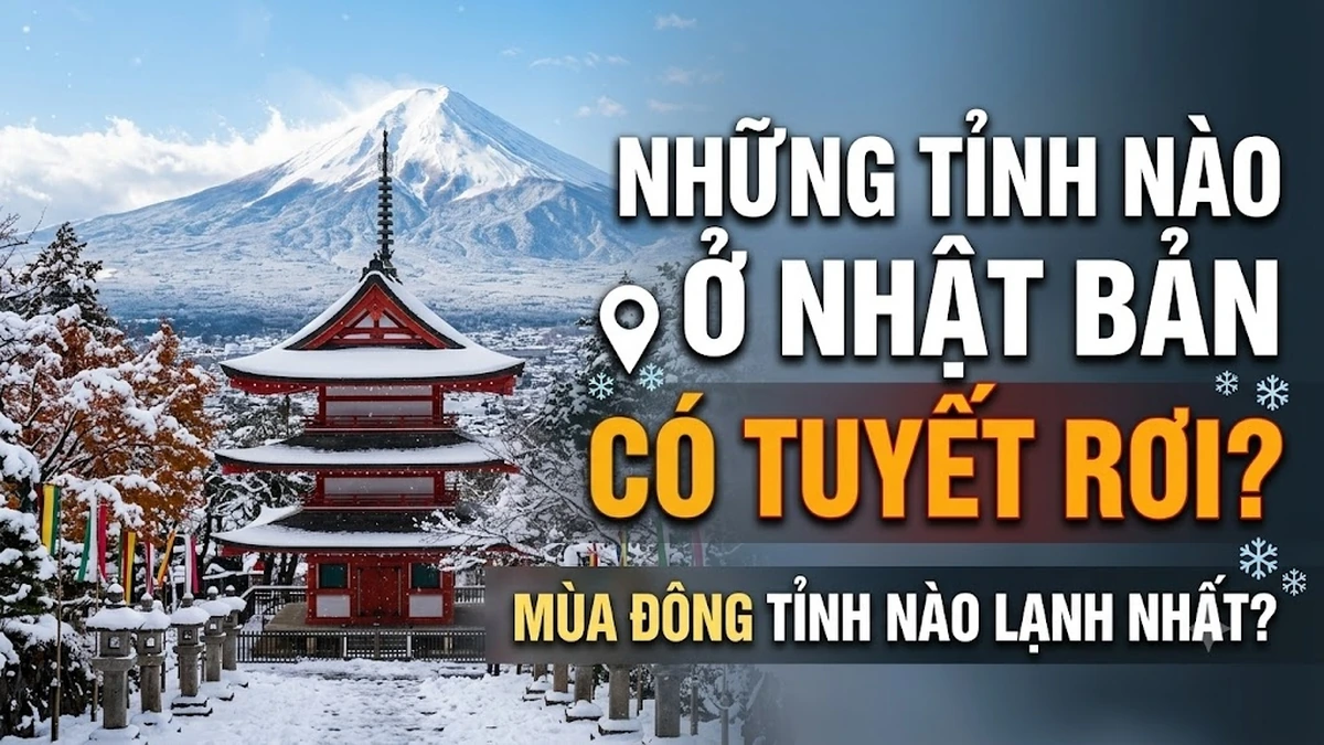 Những Tỉnh Nào Ở Nhật Bản Có Tuyết Rơi? Mùa Đông Tỉnh Nào Lạnh Nhất?