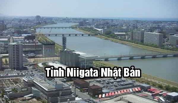 Niigata