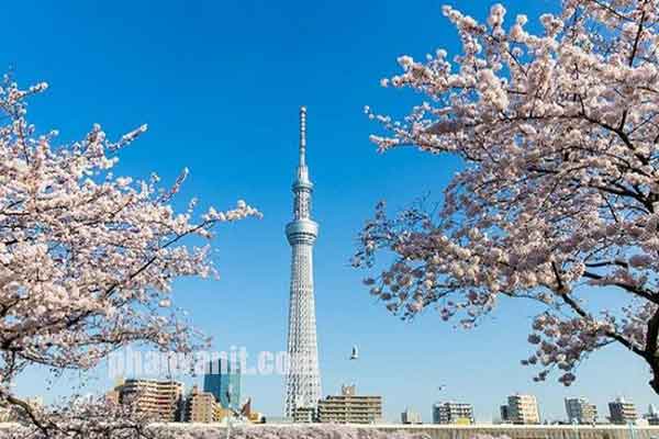 tháp truyền hình Tokyo Skytree