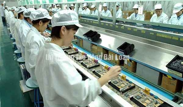 Thị trường lao động Đài Loan ngày càng thu hút lao động Việt