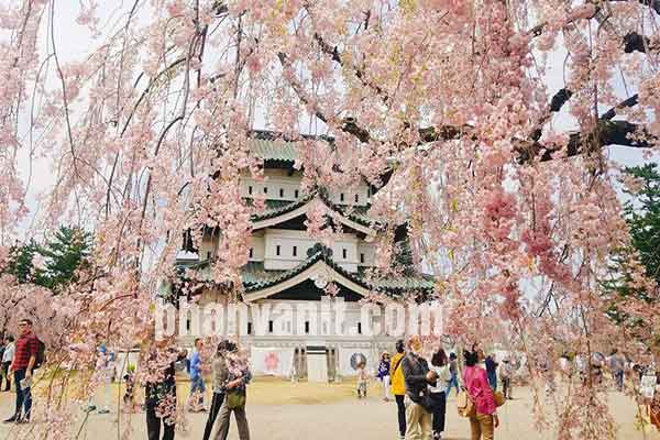 Tỉnh Aomori nhật bản