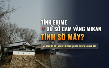 Tỉnh Ehime Số Mấy? Khí Hậu Quýt Vàng & Cơ Hội Xuất Khẩu Lao Động Tỉnh 38