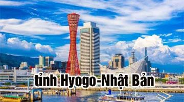 Tỉnh Hyogo Nhật Bản