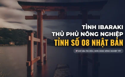 Tỉnh Ibaraki Số Mấy? Khí Hậu, Nông Nghiệp Hiện Đại & Việc Làm XKLĐ Tỉnh Số 08