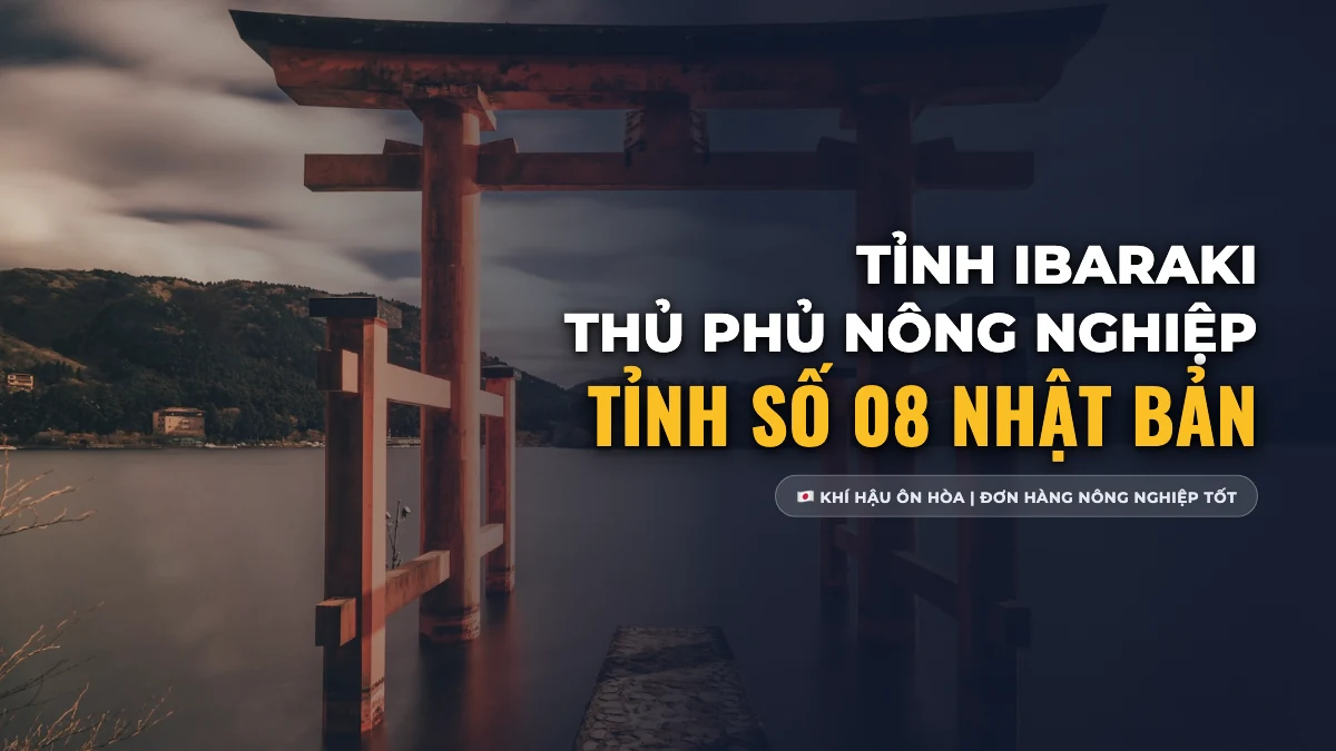 Tỉnh Ibaraki Số Mấy? Khí Hậu, Nông Nghiệp Hiện Đại & Việc Làm XKLĐ Tỉnh Số 08
