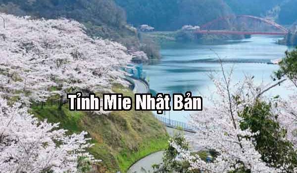 Tỉnh Mie Nhật Bản