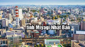 tỉnh Miyagi Nhật Bản