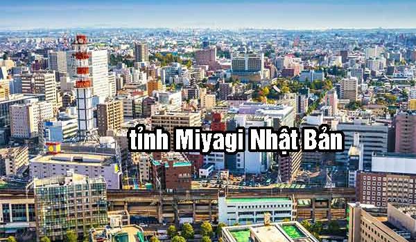 tỉnh Miyagi Nhật Bản