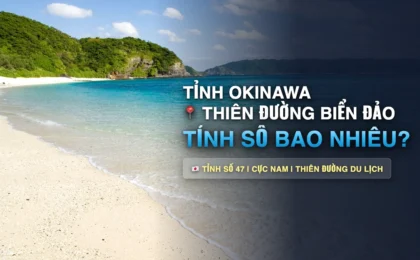 Tỉnh Okinawa Số Bao Nhiêu? Khí Hậu, Đời Sống & Du Lịch Tỉnh Số 47 Nhật Bản