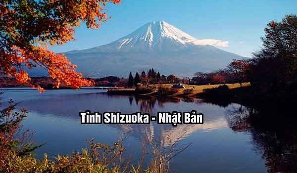 tỉnh Shizuoka Nhật Bản