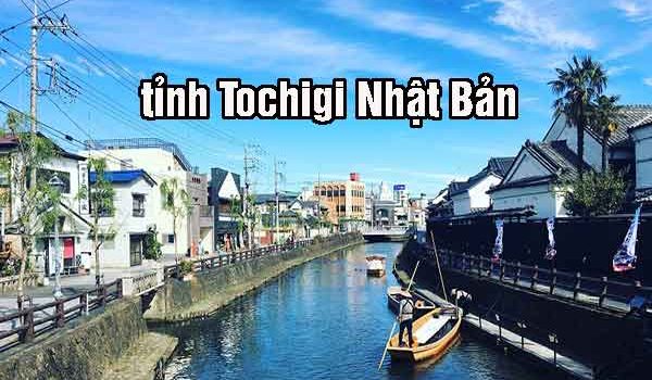 tỉnh Tochigi