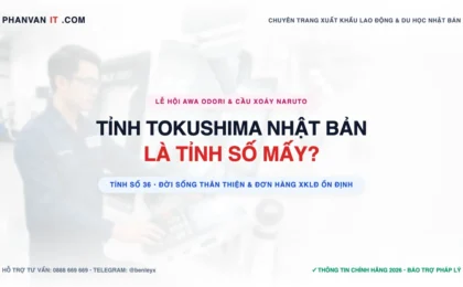 Tỉnh Tokushima Số Mấy? Đời Sống, Lễ Hội Awa Odori & Đơn Hàng Tỉnh Số 36
