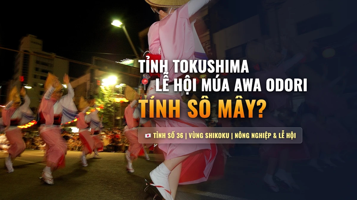 Tỉnh Tokushima Số Mấy? Đời Sống, Lễ Hội Awa Odori & Đơn Hàng Tỉnh Số 36