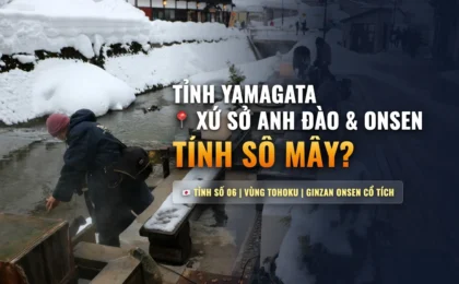 Tỉnh Yamagata Số Mấy? Khí Hậu Tuyết Trắng & Đơn Hàng Nông Nghiệp Tỉnh Số 06
