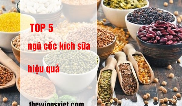 top 5 ngũ cốc lợi sữa hiệu quả