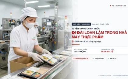 Tuyển 02 lao động đi Đài Loan làm trong nhà máy thực phẩm (Cập nhật 2026)