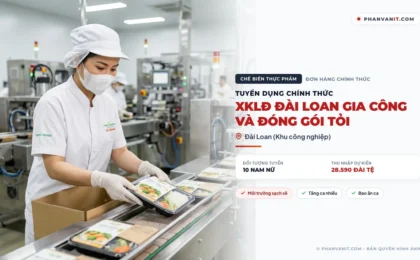 Tuyển 10 nam nữ XKLĐ Đài Loan gia công và đóng gói tỏi (Cập nhật 2026)