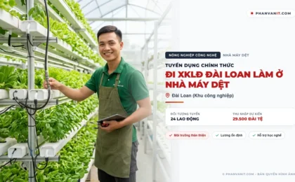 Tuyển 24 lao động đi XKLĐ Đài Loan làm ở nhà máy dệt (Cập nhật 2026)