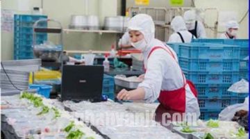 Tuyển 45 Nữ đi Xkld chế biến thực phẩm tại Nhật Bản