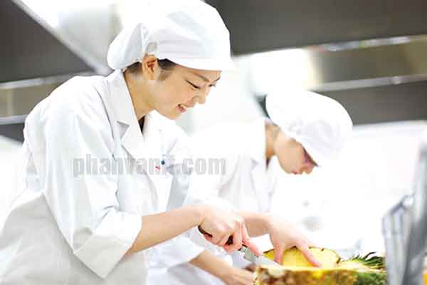 Tuyển 52 Nữ xuất khẩu lao động chế biến thực phẩm ở Nhật Bản
