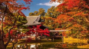 Vẻ đẹp thiên nhiên bốn mùa quyến rũ ở Kyoto