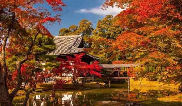 Vẻ đẹp thiên nhiên bốn mùa quyến rũ ở Kyoto