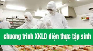 XKLD Nhật Bản diện thực tập sinh