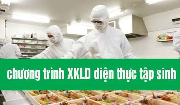 XKLD Nhật Bản diện thực tập sinh