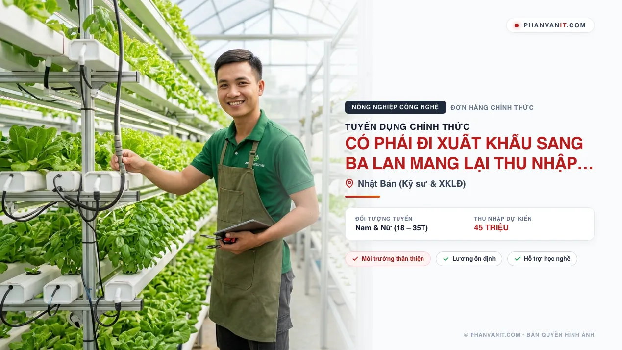 Có phải đi xuất khẩu sang Ba Lan mang lại thu nhập cao?