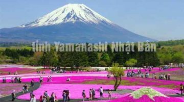 tỉnh Yamanashi Nhật Bản