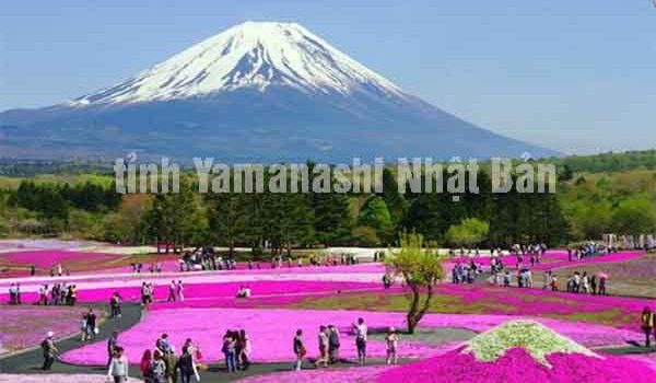 tỉnh Yamanashi Nhật Bản